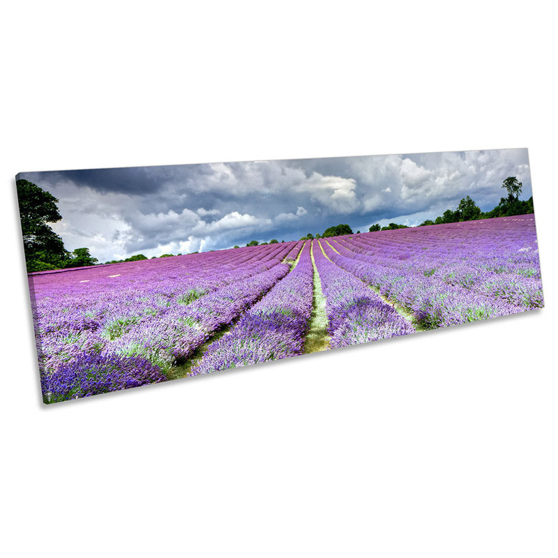 Z0356 Lavender Field Banstead Surrey Panoramic - Wrapped Canvas Print, 30.48cm H x 91.44cm W x 2cm D