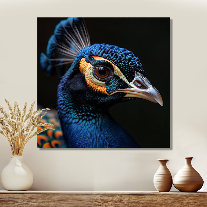 Portrait de paon hypnotisant sur photo noire I - paon, décoration murale animal, Toile tendue, H 16 po x l 16 po