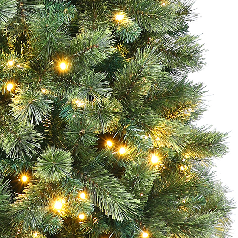 6' Lighted Pine Christmas Tree