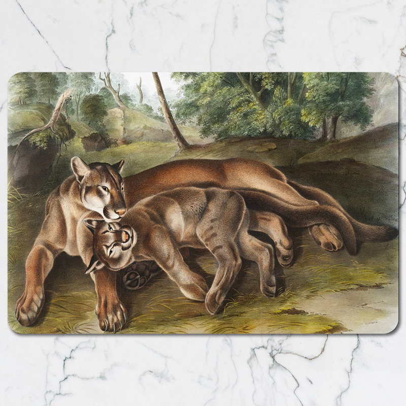 Lion Family Placemat And Coaster Set With Wildlife Art