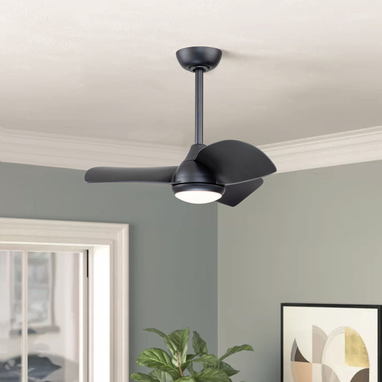 Amelia-Anne 28" 3-Blade DC Ceiling Fan with 3CCT LED Lights and Control