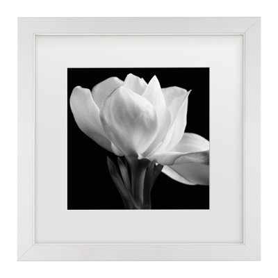 «Gardenia» par Michael Harrison