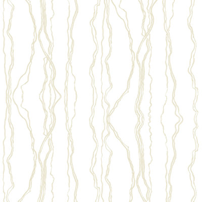 Fault Lines