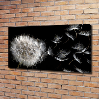 Dandelion - Wrapped Canvas Print