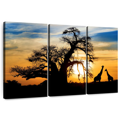 African Sunset Giraffes