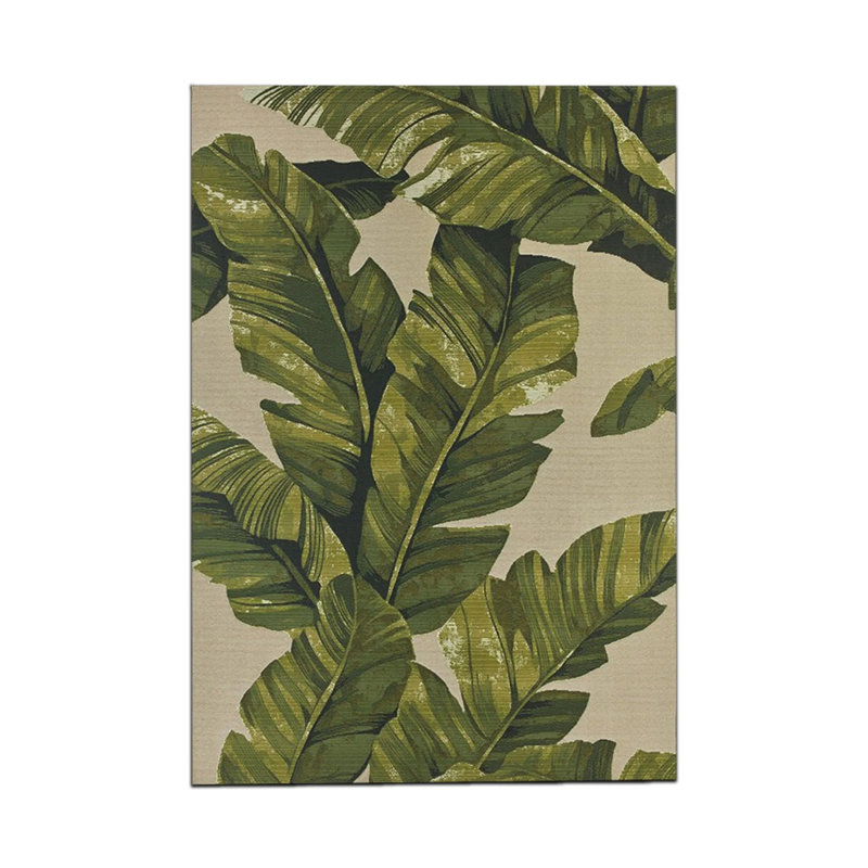 Tapis intérieur / extérieur Alexies, Rectangle 3 pi 3 po x 6 pi 7 po