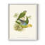 «Lime & Cerulean Parrots I», reproduction encadrée - bois massif-2069873828-2069873836