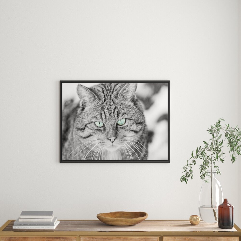 Gerahmtes Wandbild lauernde kleine Manul