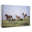 Horses and colt running in meadow 1 Piece Wrapped Canvas Wall Art-844401081