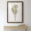 Farmhouse Pressed Flower II - peinture encadrée-1572627890-1572627900