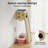 Wall-mounted Cat Tree Climbing With Condo