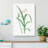 Peruvian Daffodil Flower by Pierre-Joseph Redoute - Wrapped Canvas Print-55366634