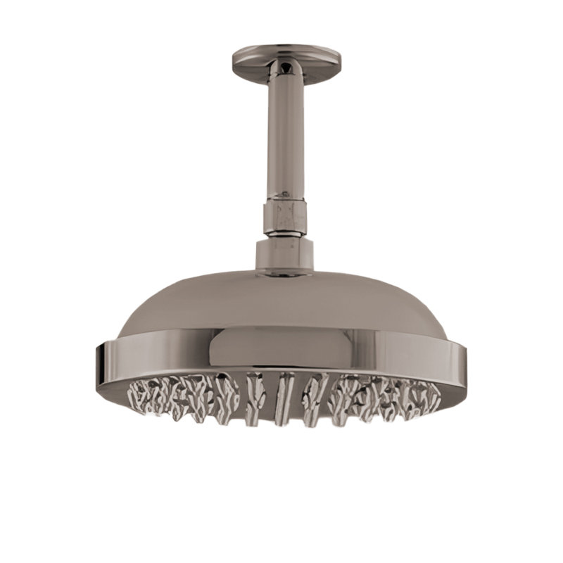 Ceiling Mount 8" Shower Head with 4" Arm & Escutcheon, Polished Nickel