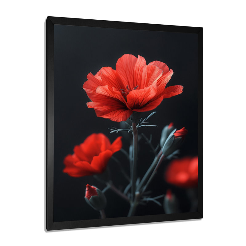 Red Red Vintage Vibe Marigold Photo - impression d'art mural souci, Cadre simple noir, bois massif, H 16 po x l 32 po