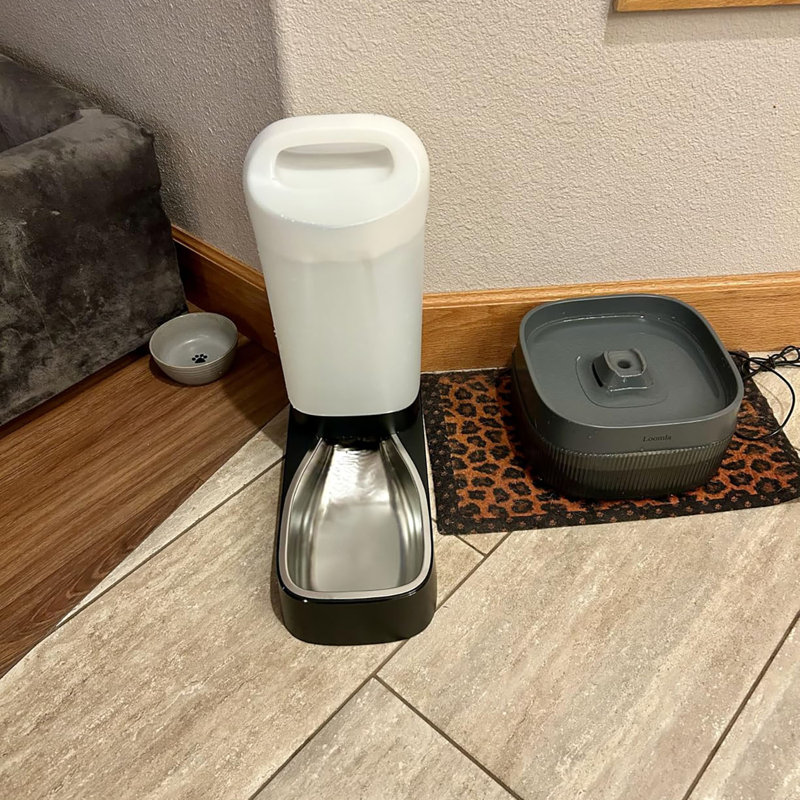 Distributeur d'eau 2,4 gallons en acier inoxydable pour animaux de compagnie, bol anti-éclaboussures avec poignée
