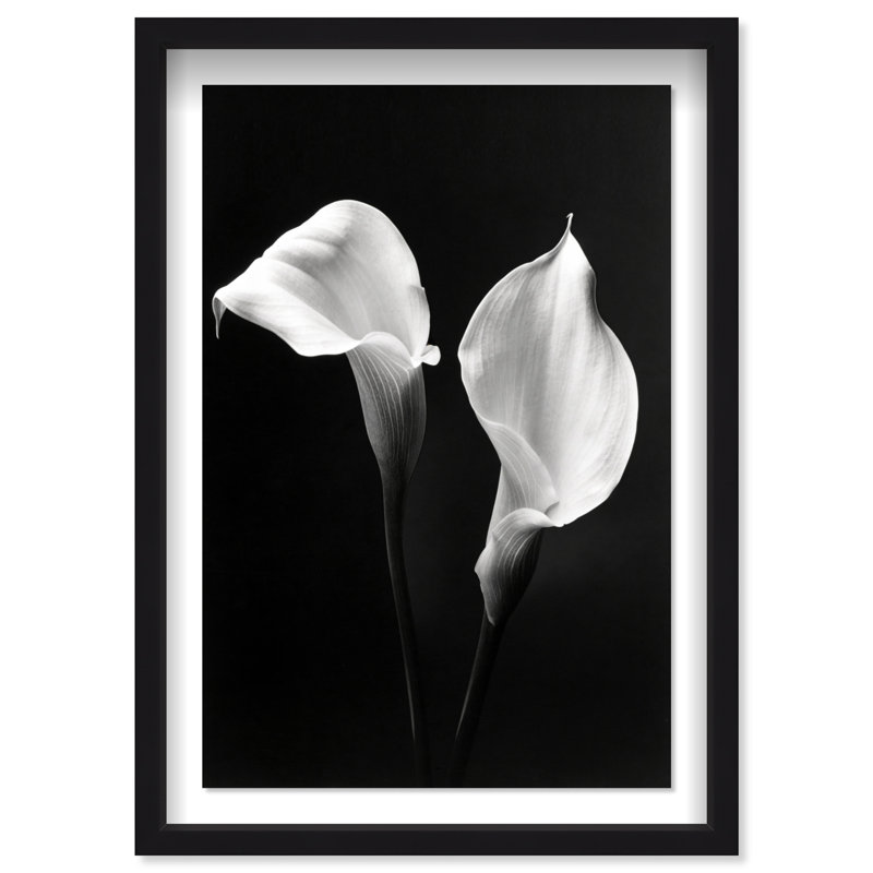 Calla Lily Print by Oliver Gal, 21.5"H x 31.5"W, Black Shadowbox