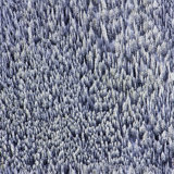 Gray Malin Snowy Pines 10' L x 24" W Wallpaper Tile