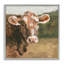 Soft Country Meadow Cow-1296596781-1299785327