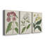 Toile tendue avec châssis de collection Antique Botanical Collection-354691508