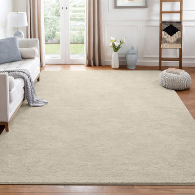 Shag Area Rug