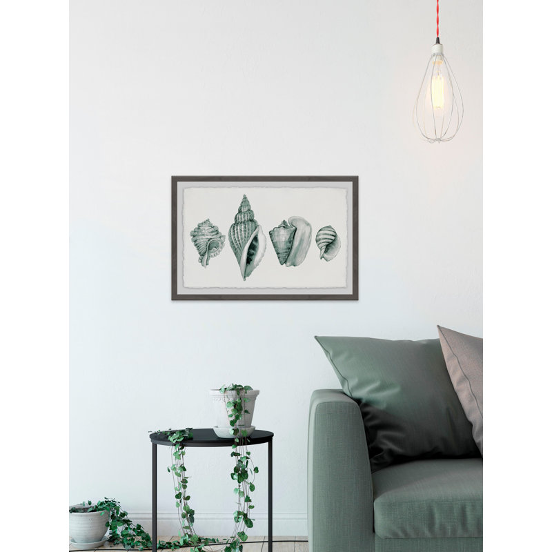 Four Shells - Single Picture Frame Print, 61 cm H x 91 cm W x 4 cm D