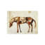 Standing Horse II Painting by Milton Coppo-25707356-25707363