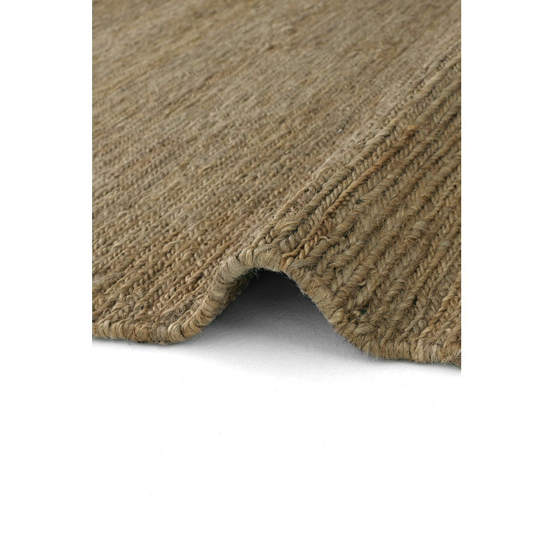 Reaven Hand Woven Indoor / Outdoor Area Rug, Rectangle 2'7" x 4'11"