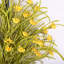Ornement de printemps devant la marguerite