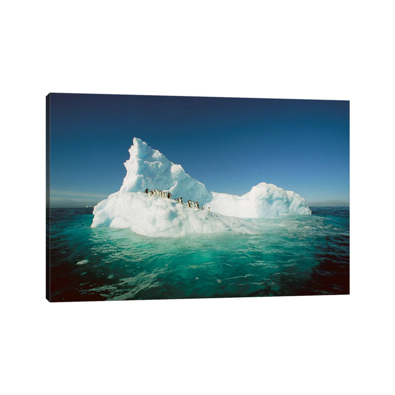 Adelie Penguin Group Riding Sculpted Iceberg, Terre Adelie Land, East Antarctica by Colin Monteath - Wrapped Canvas Print
