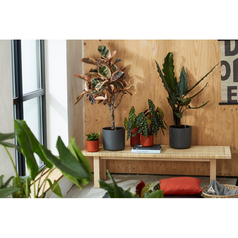 B.For Pot Planter, Brique, 12.5cm H x 13.8cm W x 13.8cm D