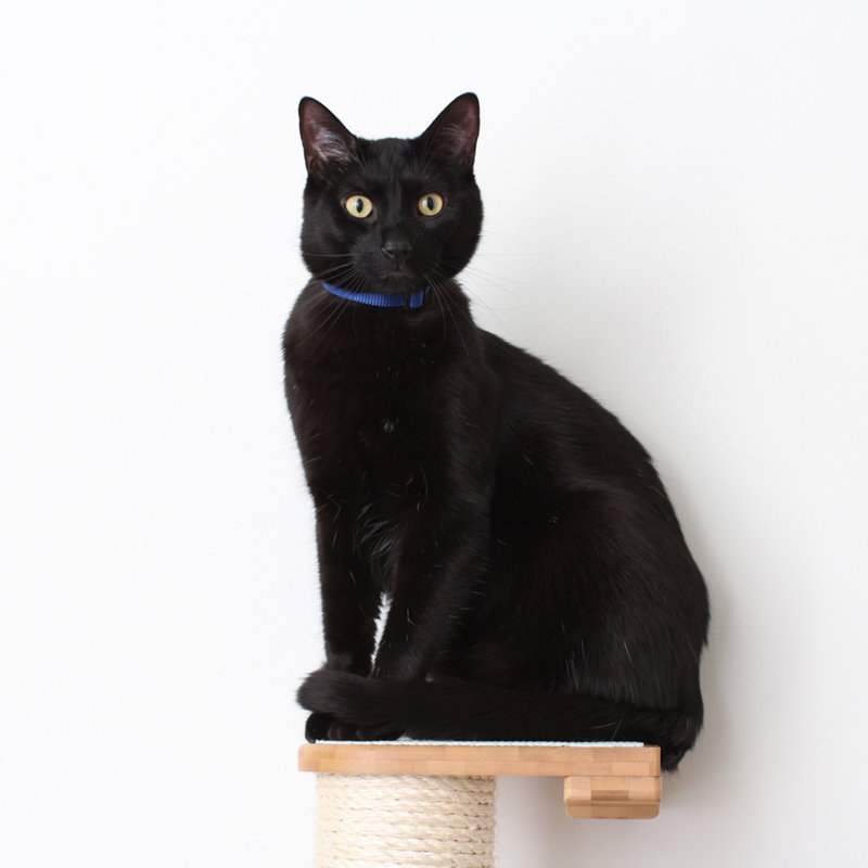 Deveraux Cat Scratching Post Wall Mounted Multiple Sizes, 30" H x 9" W x 11" D, Natural