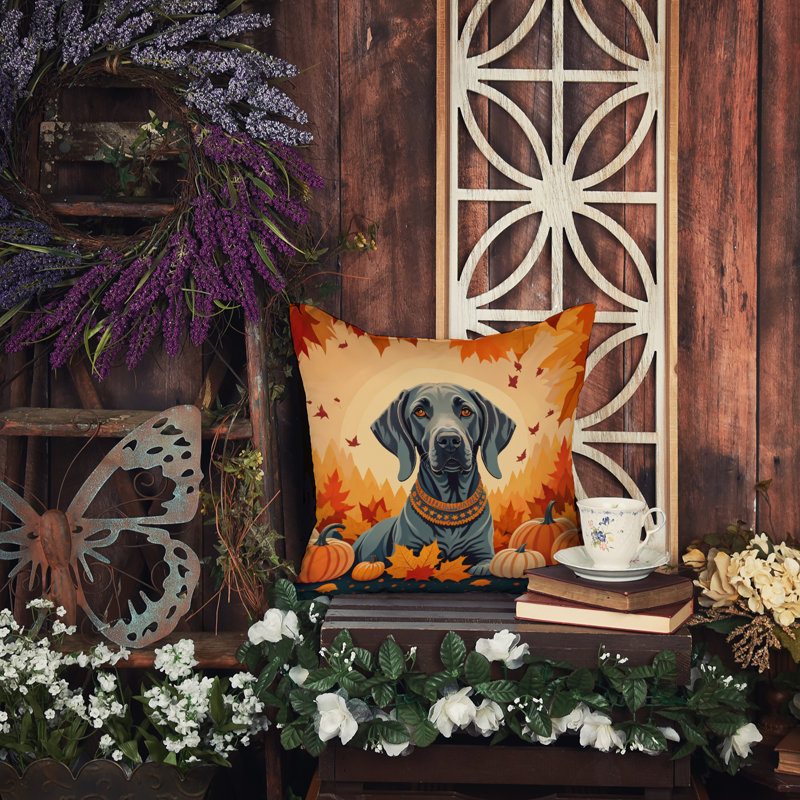 Coussin décoratif Weimaraner, 14 po x 14 po