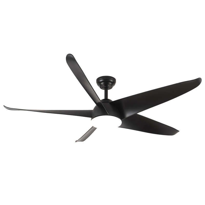 60'' Ceiling Fan With Light