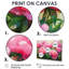 Pe pivoines par The Spring Field I - pivoines, reproduction d'art sur toile encadrée-1760564005-1760564002-1760564015