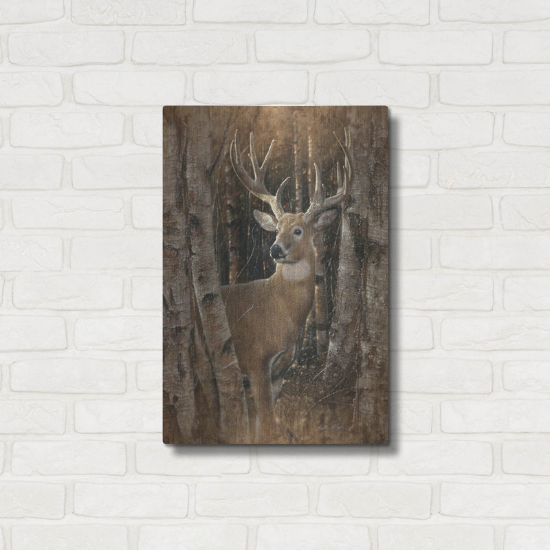 «Birchwood Buck» par Collin Bogle, H 24 po x l 16 po
