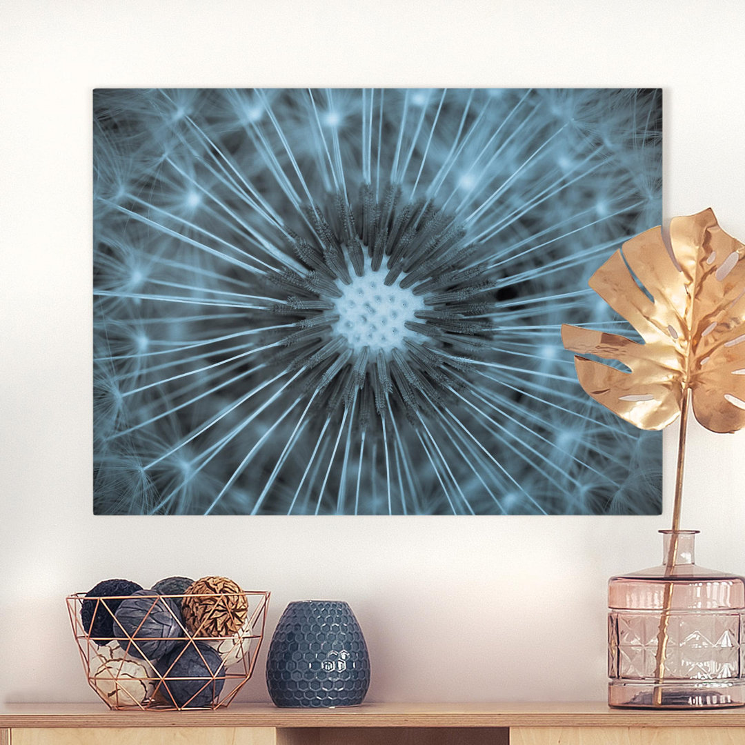 Leinwandbild Blue Tinted Dandelion