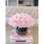 Roses in Vase-1253783696