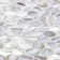 Pacif 0.39" x 0.79" Seashell Penny Round Mosaic Tile