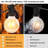 Outdoor 14 - Bulb 27'' Plug-in Globe String Light