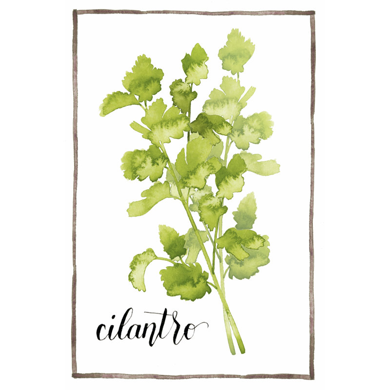 Watercolour Herbs IV 1 Piece Wrapped Canvas Painting, 122cm H x 81cm W