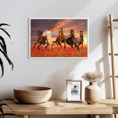 Mustang Horses