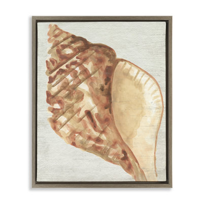  Tan Conch Shell Brown Framed Floater Canvas Wall Art by June Erica Vess