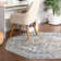 Charlotte Oriental Indoor Rug