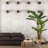 Panama 60" Artificial Banana Leaf Tree
