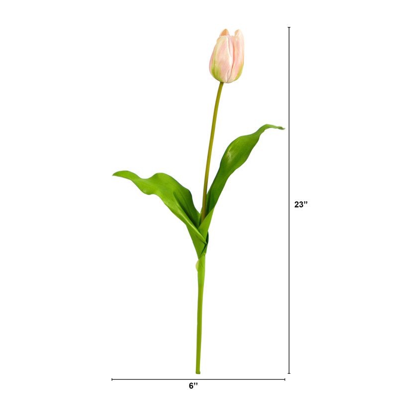 Tulip Arrangement, Pink