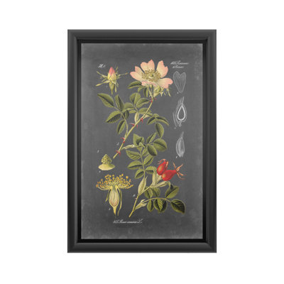 " Midnight Botanical I " by Vision Studio