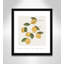 Amalfi Lemons - cadre photo, impression-66318799-66318805