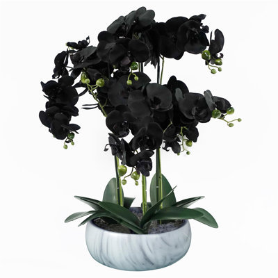 Orchids Plastic, Silk Artificial Arrangement in Planter