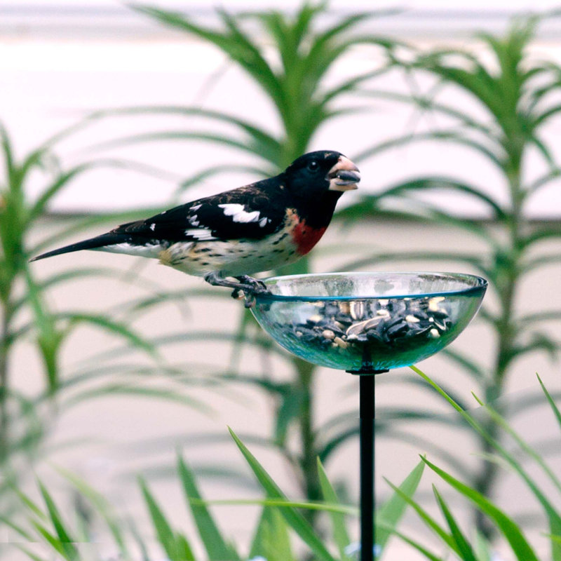 Mosaic Birds Pole Decorative Bird Feeder, Clear