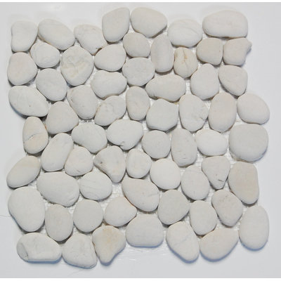 Mosaïque de galets nivelés blanc Tumble 12 po x 12 po